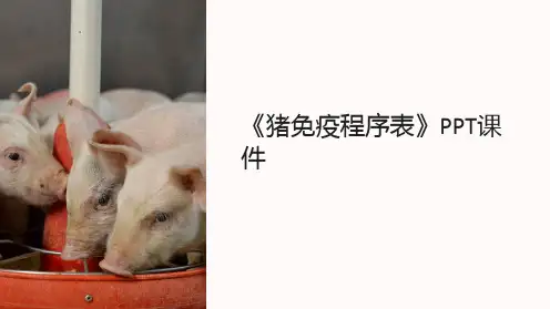 《猪免疫程序表》课件