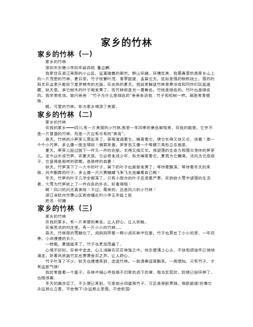 家乡的竹林作文共九篇