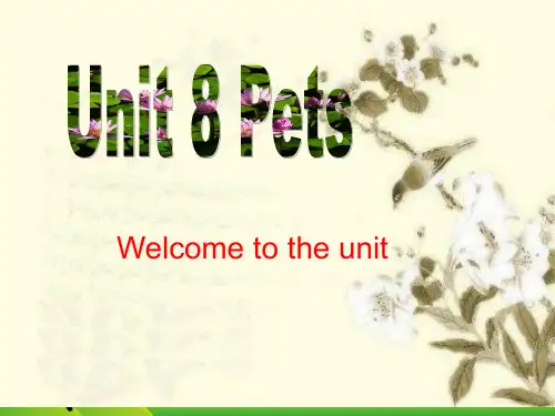 牛津译林版七年级Unit 8 Welcome to the unit 课课件(26张)