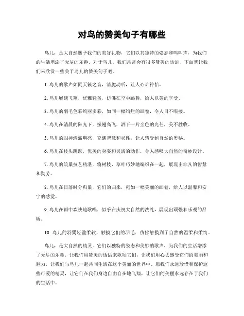 对鸟的赞美句子有哪些