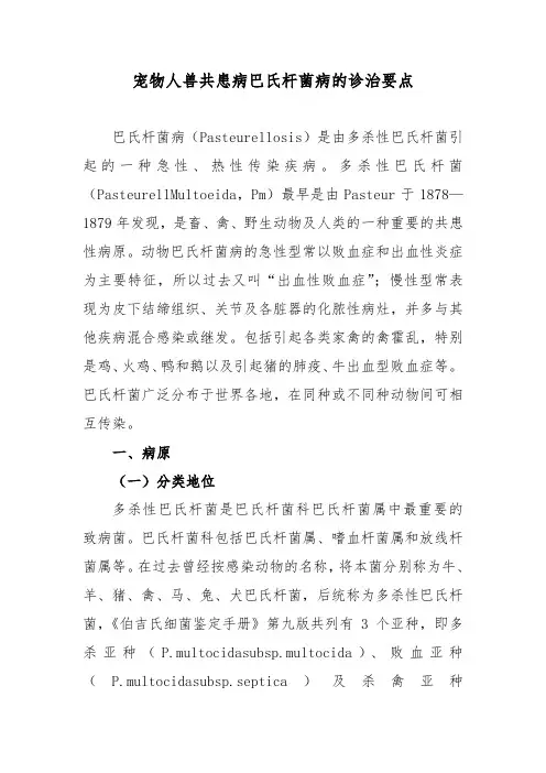 宠物人兽共患病巴氏杆菌病的诊治要点