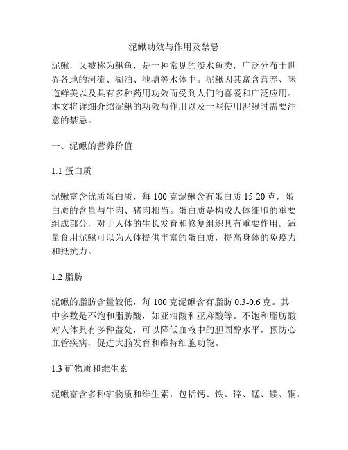 泥鳅功效与作用及禁忌