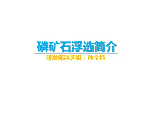 磷矿石浮选简介资料文档