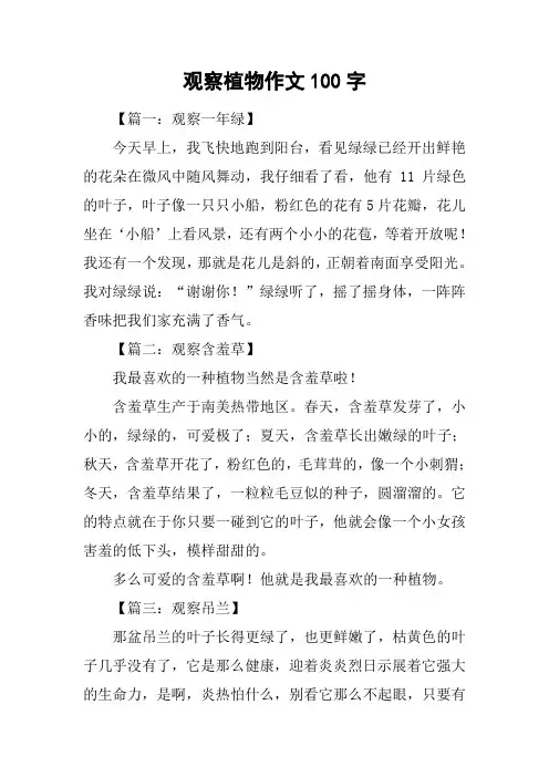 观察植物作文100字