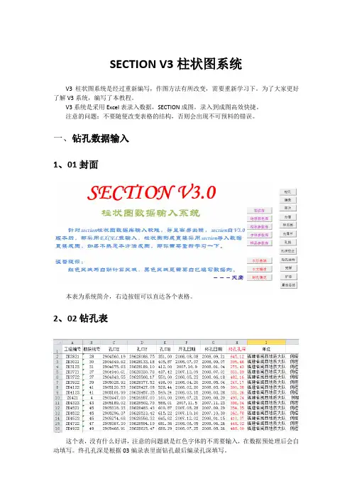 SECTION V3柱状图系统