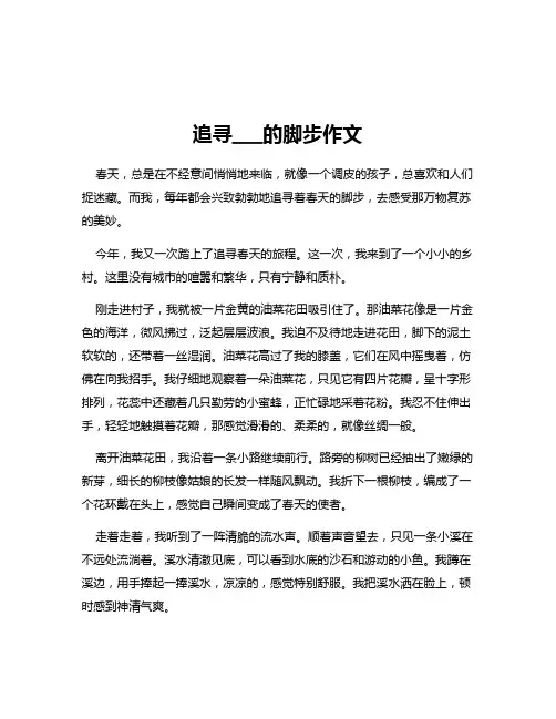 追寻___的脚步作文