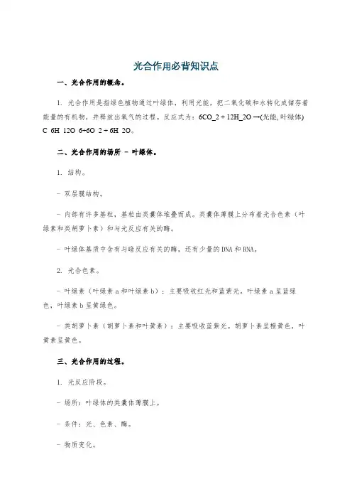 光合作用必背知识点