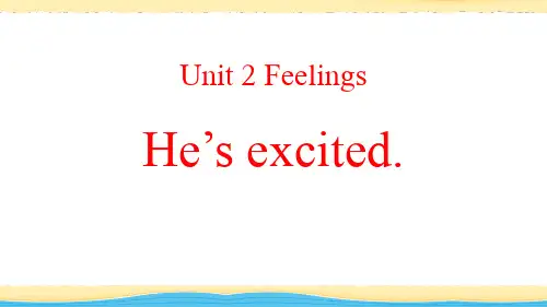 鲁科版小学五年级英语上册《He's excited》Feelings PPT教学课件 