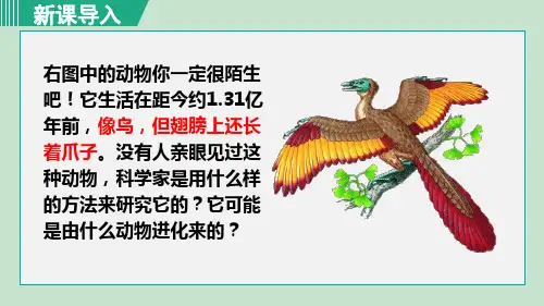 人教版八年级生物下册_第二节 生物进化的历程