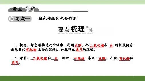 光合作用和呼吸作用--复习PPT课件