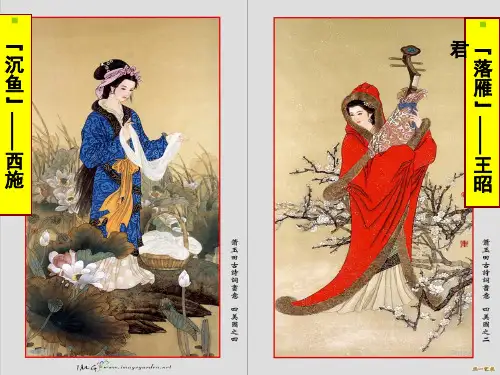 杜甫《咏怀古迹》其三公开课