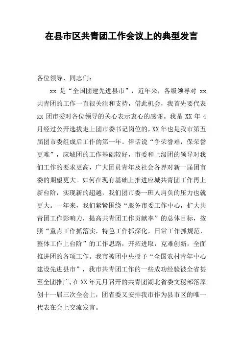 在县市区共青团工作会议上的典型发言