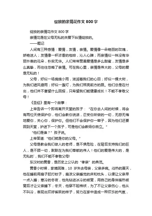 绽放的亲情花作文800字