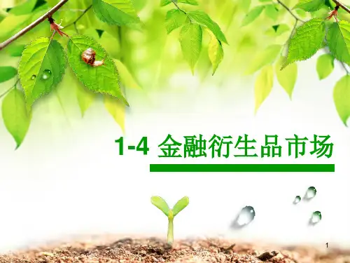 金融衍生品市场PPT课件