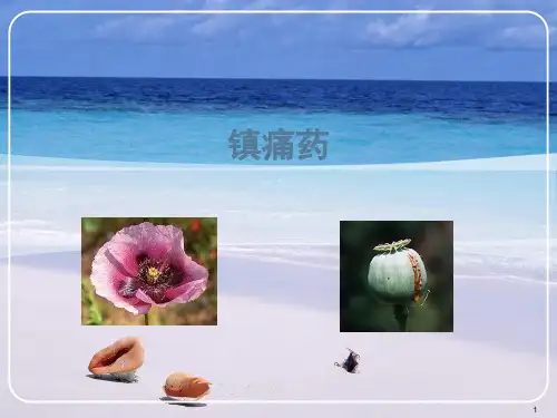 (推荐课件)阿片类镇痛药PPT幻灯片