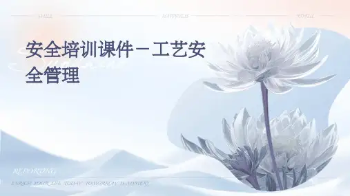 安全培训课件-工艺安全管理