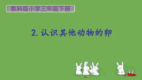 科学认识其他动物的卵课件教科版下册三年级