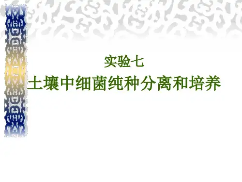 土壤中细菌纯种分离和培养