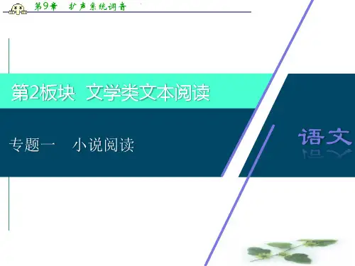 江苏省高考语文大二轮复习课件：文学类文本阅读 1 专题一 小说阅读