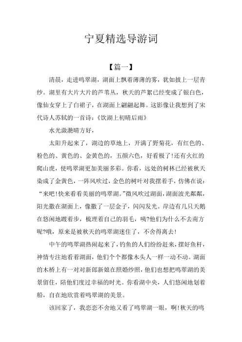 宁夏精选导游词