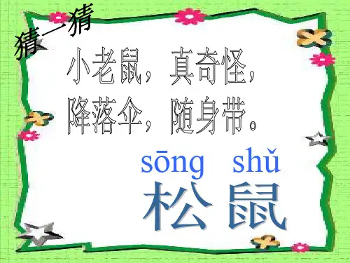 比尾巴课件PPT
