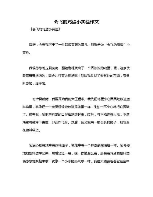 会飞的鸡蛋小实验作文