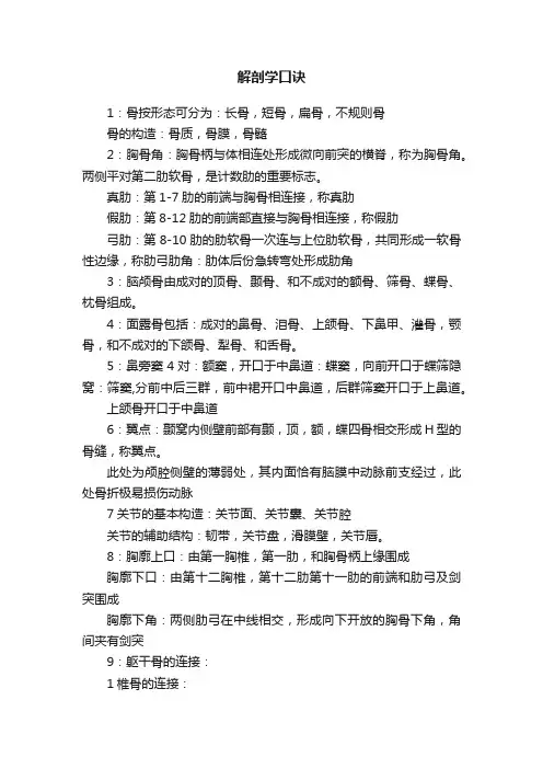 解剖学口诀
