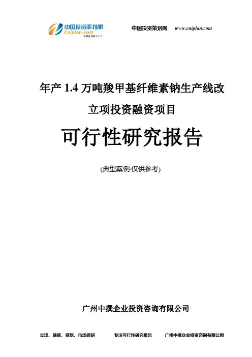 年产1.4万吨羧甲基纤维素钠生产线改融资投资立项项目可行性研究报告(非常详细)