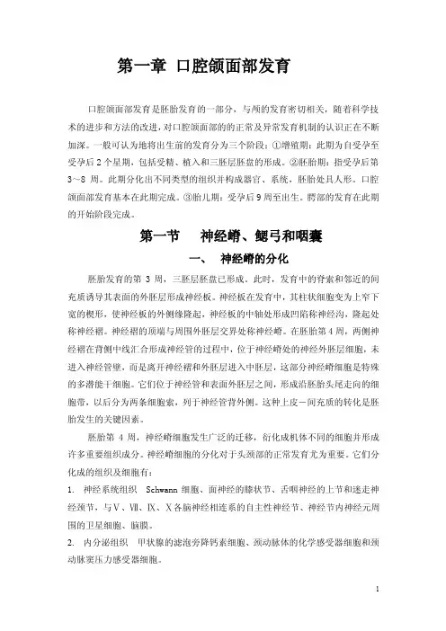 口腔颌面部发育