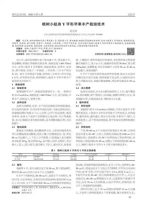 桃树小挺身y字形早果丰产栽培技术