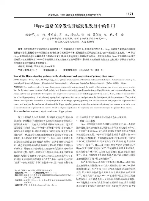 Hippo通路在原发性肝癌发生发展中的作用
