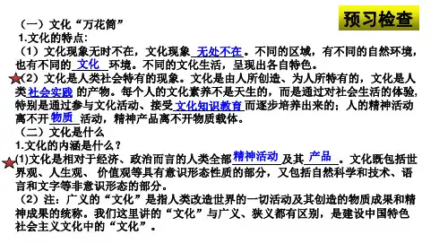 必修三文化生活1.1体味文化(共28张PPT)