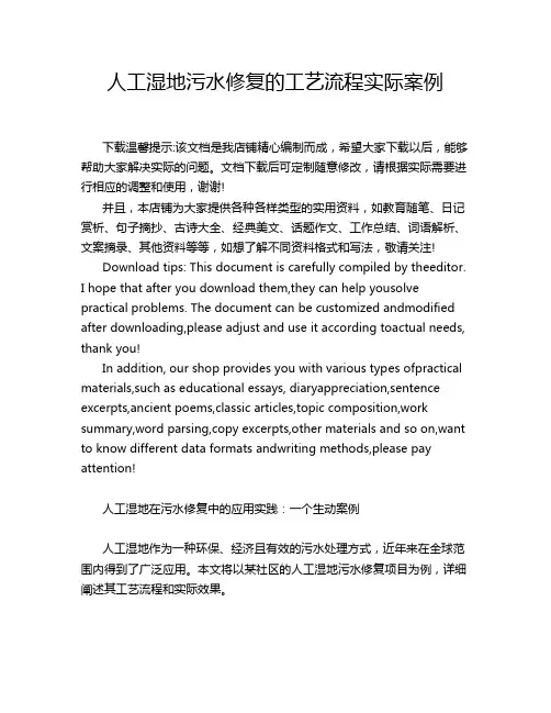 人工湿地污水修复的工艺流程实际案例