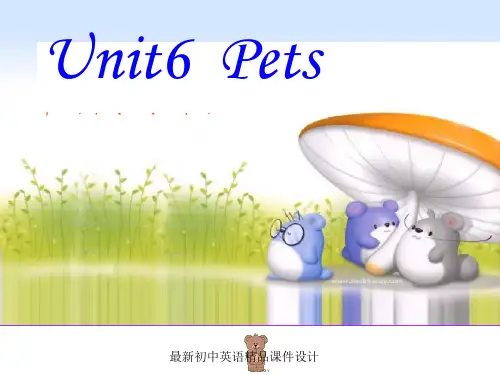 牛津深圳版八年级英语下册《Unit 6 Pets》课件：Grammar