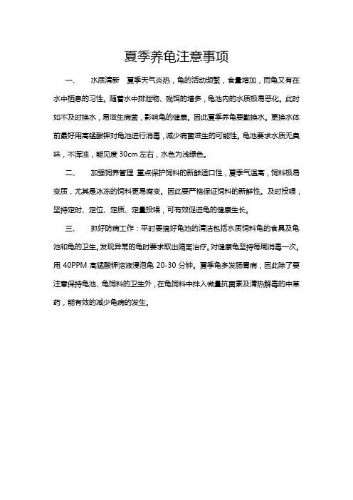 夏季养龟注意事项
