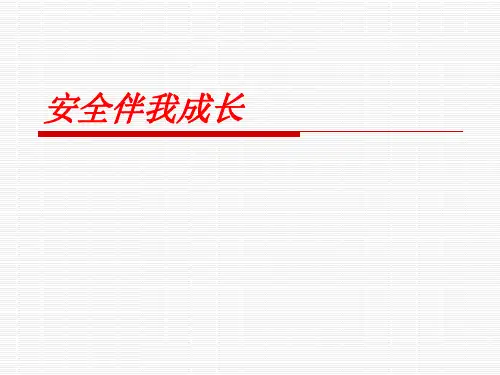 安全伴我成长