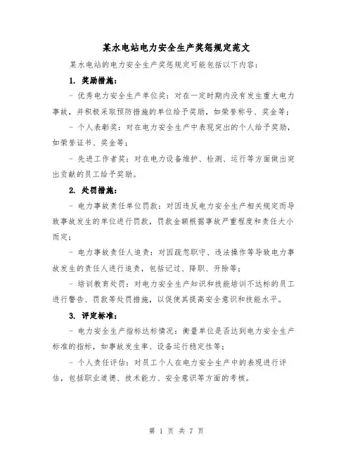 某水电站电力安全生产奖惩规定范文（4篇）
