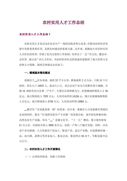 农村实用人才工作总结