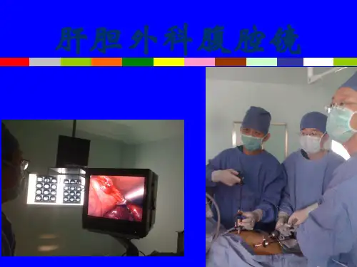 肝胆外科腹腔镜技术应用PPT课件