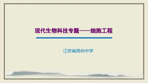生物高考复习现代生物科技专题_细胞工程23张