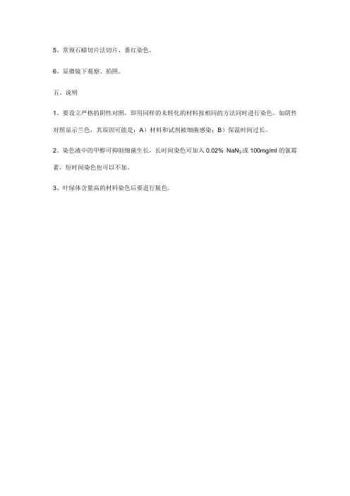 GUS染色