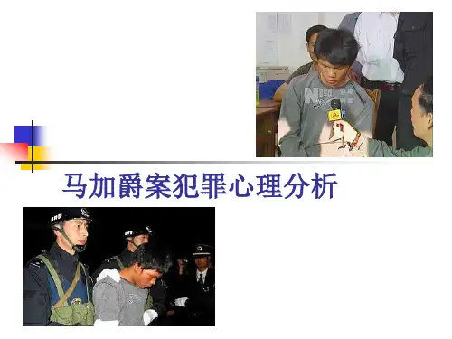 马加爵案例分析