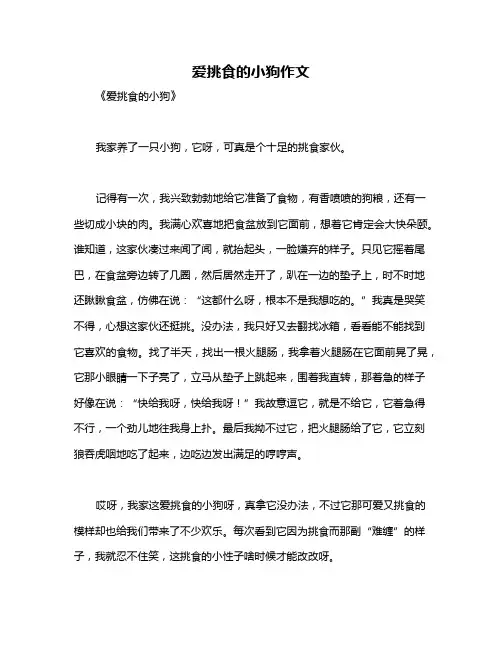 爱挑食的小狗作文