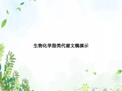生物化学脂类代谢文稿演示