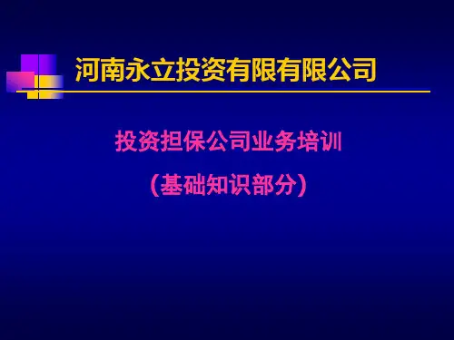 投资担保公司业务培训精品文档