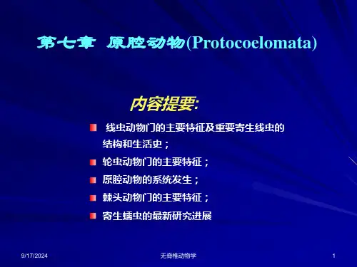 第七章原腔动物ppt课件