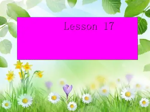 四下英语Lesson17 WhatDoYou Like to Do全面版