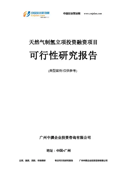 天然气制氢融资投资立项项目可行性研究报告(中撰咨询)