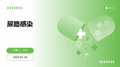 尿路感染汇报ppt课件