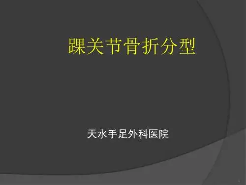 踝关节骨折分型PPT医学课件